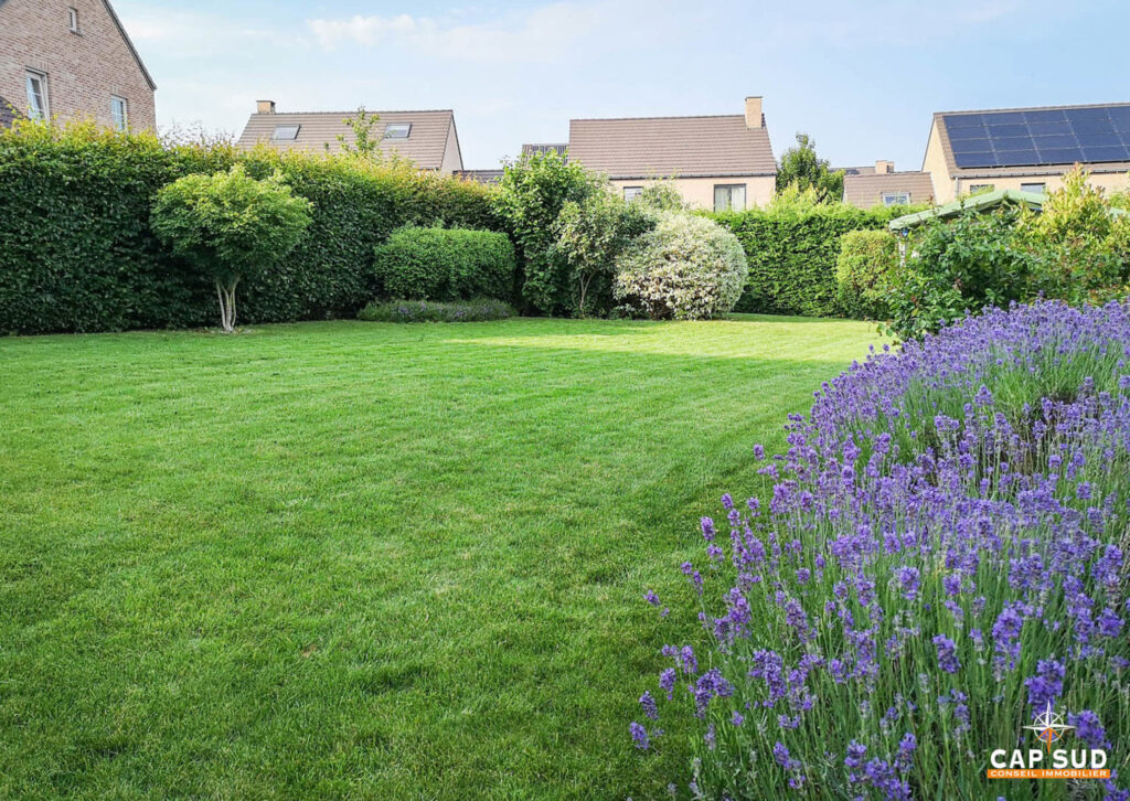 5909244_48936378.jpg
