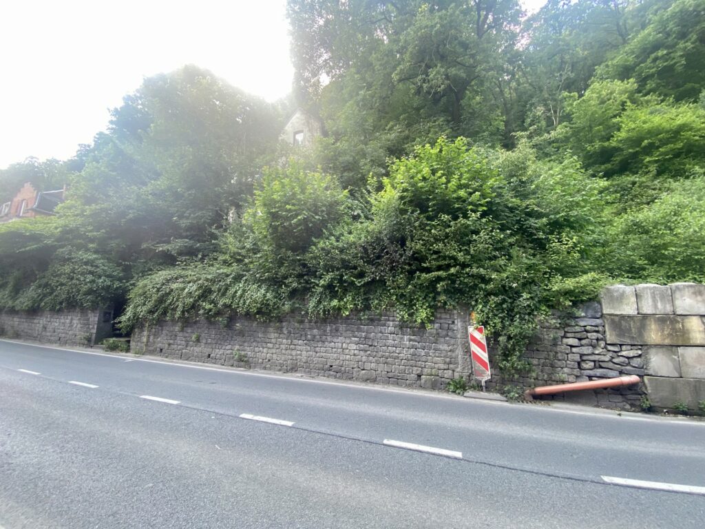 6326100_57581642.jpg