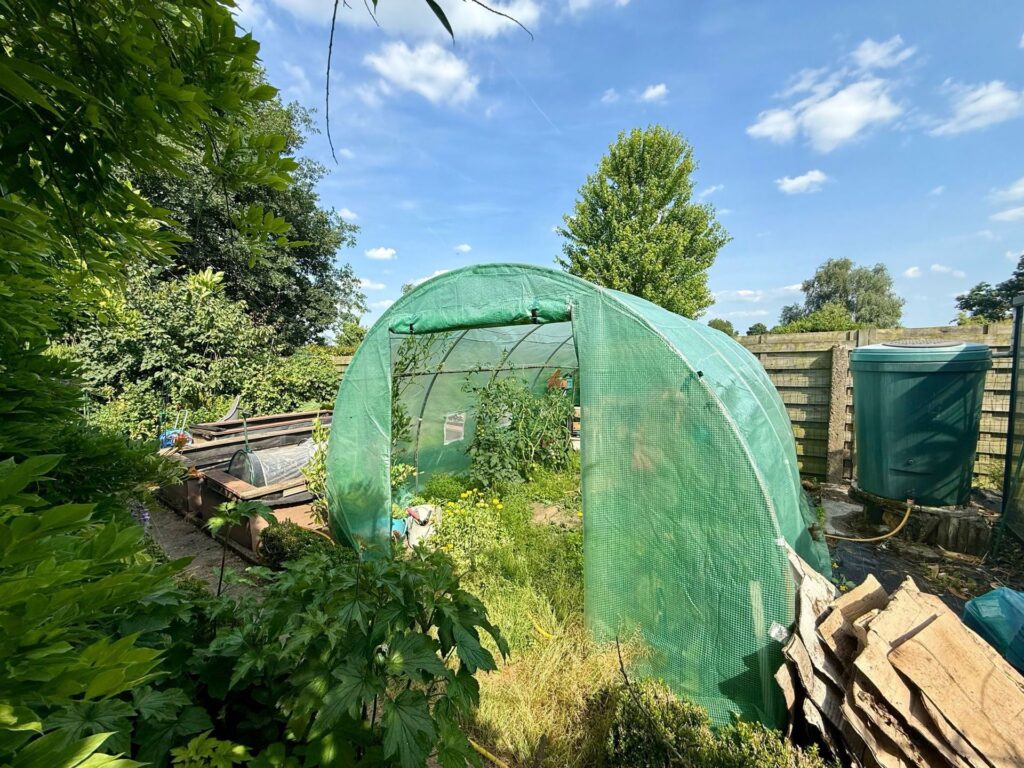 7010656_70154855.jpg