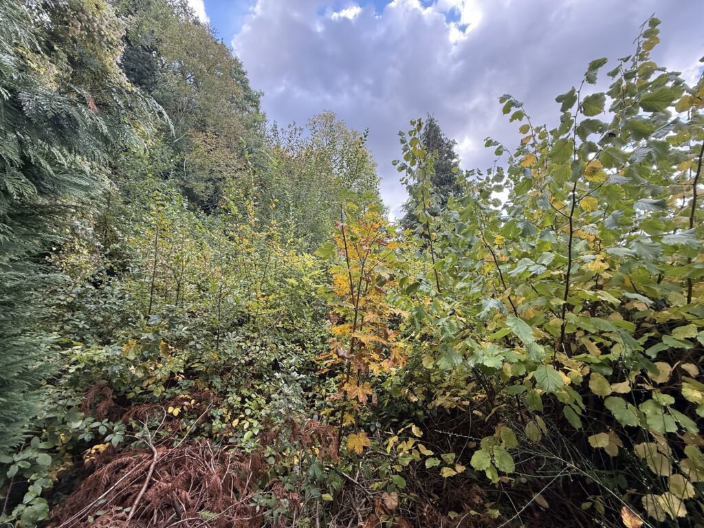 7198872_72757184.jpg