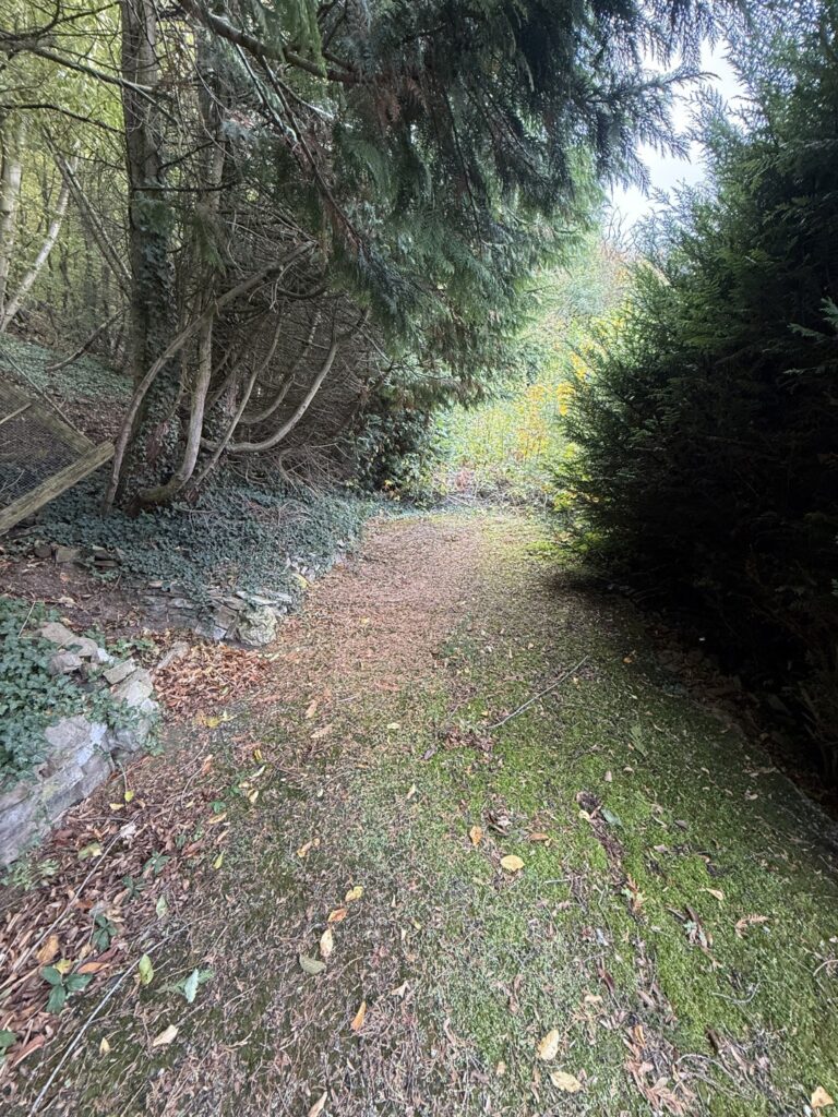 7198872_72757273.jpg