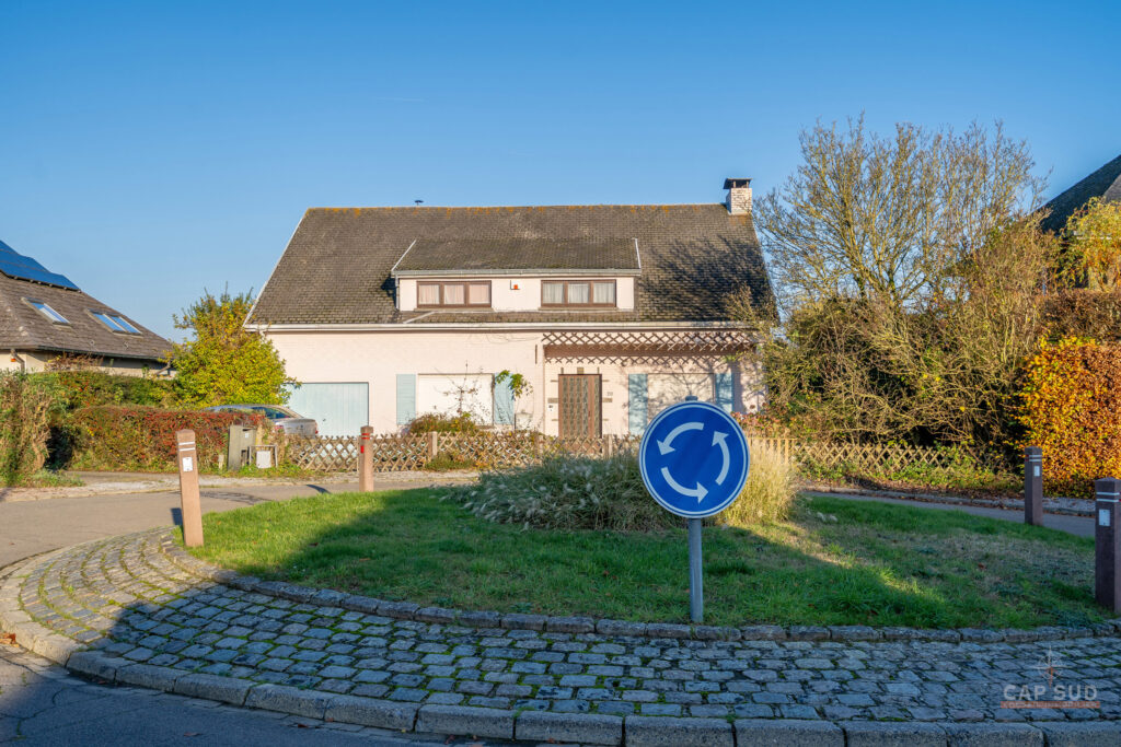 7320700_74645439.jpg