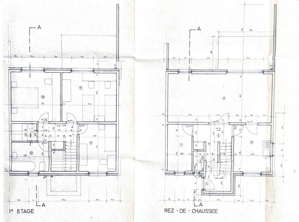 7307070_74671260.jpg