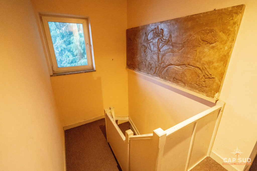 7340595_74958148.jpg